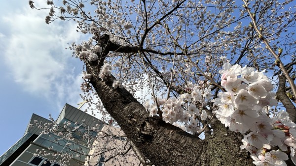 7c9a11175b3c1de4a7575d868bb51f4d_1777353